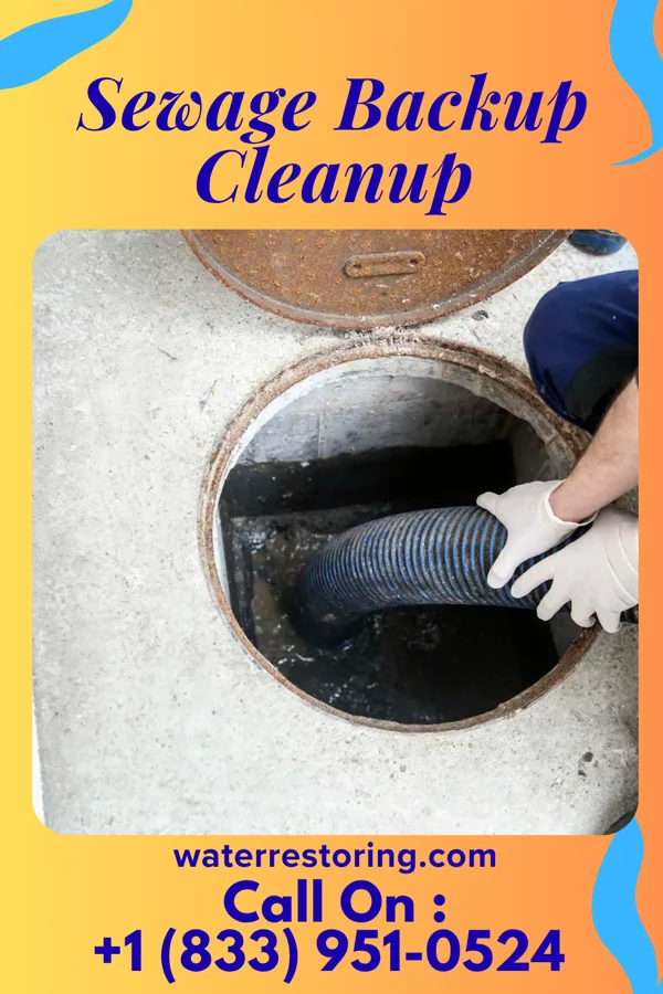 Sewage Backup Cleanup in Liberty, TN